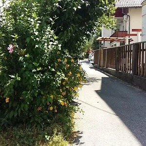 Sunflower , Ljubljana Slovenia